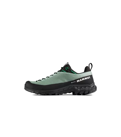 Mammut Alnasca IV Low GTX Men