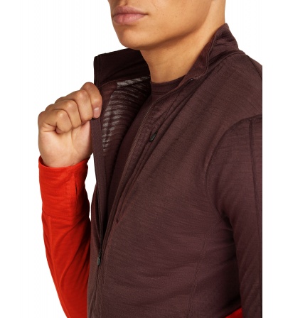 Icebreaker Men's 200 Realfleece Descender LS Half Zip Top