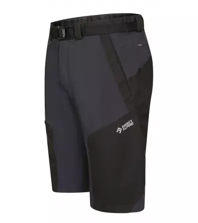 Direct Alpine Fremont Shorts 1.0 M's