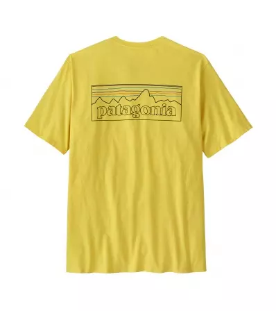 Patagonia P-6 Logo Responsibili-Tee M's