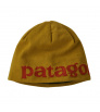 Patagonia Beanie Hat