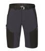 Direct Alpine Fremont Shorts 1.0 M's