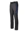 Pants Direct Alpine Cascade Plus 2.0 M's