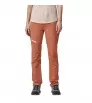 Patagonia Terravia Alpine Pants - Regular W's