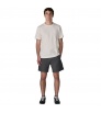 Patagonia Heritage Stand Up Shorts -7